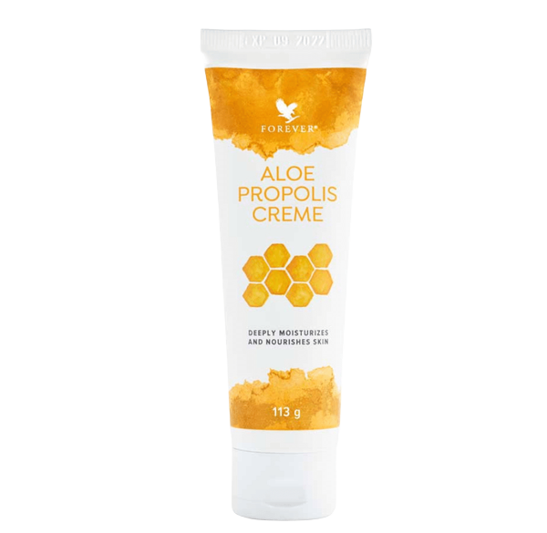 aloe vera pflanze gelb Aloe vera (Echte Aloe) kaufen main image 1